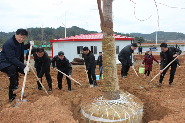 全体干部职工参加新春义务植树活动