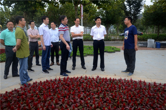 市国控集团参观学习新昌南湖西河湿地公园项目