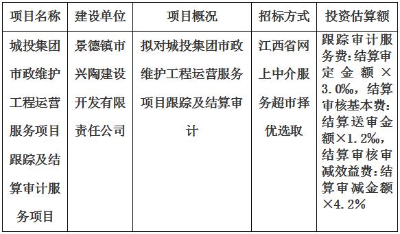 城投集团市政维护工程运营服务项目结算审计服务项目计划公告