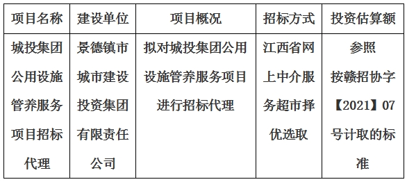 城投集团公用设施管养服务项目招标代理计划公告