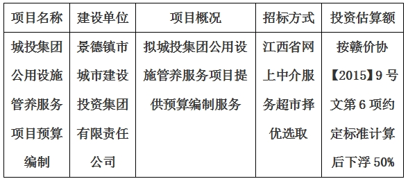 城投集团公用设施管养服务项目预算编制计划公告