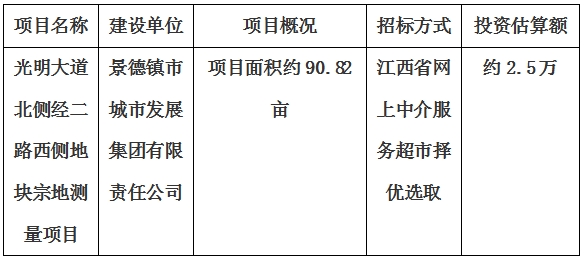 景德镇市光明大道北侧经二路西侧地块宗地测量项目计划公告