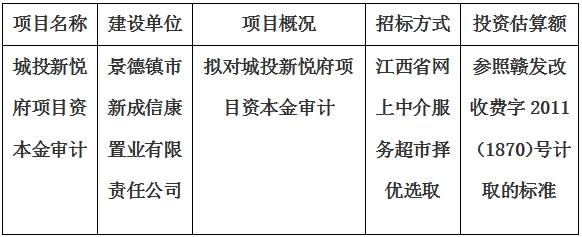 城投新悦府项目资本金审计项目计划公告