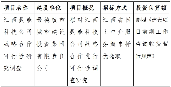 江西数能科技公司战略合作可行性研究调查计划公告