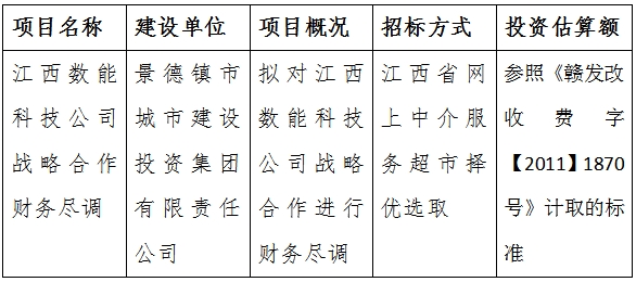 江西数能科技公司战略合作财务尽调计划公告