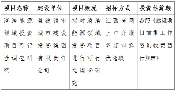 清洁能源领域投资项目可行性调查研究计划公告