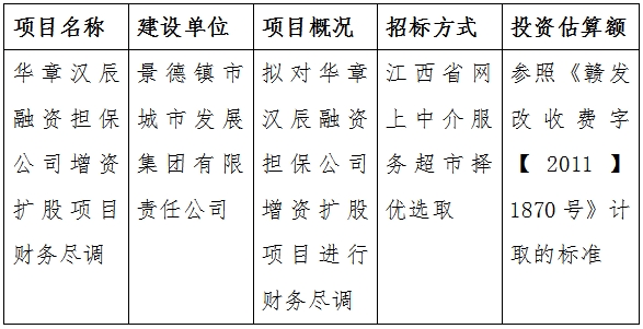 华章汉辰融资担保公司增资扩股项目财务尽调计划公告