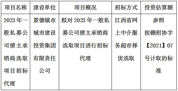 2023年一般私募公司债主承销商选取项目招标代理计划公告